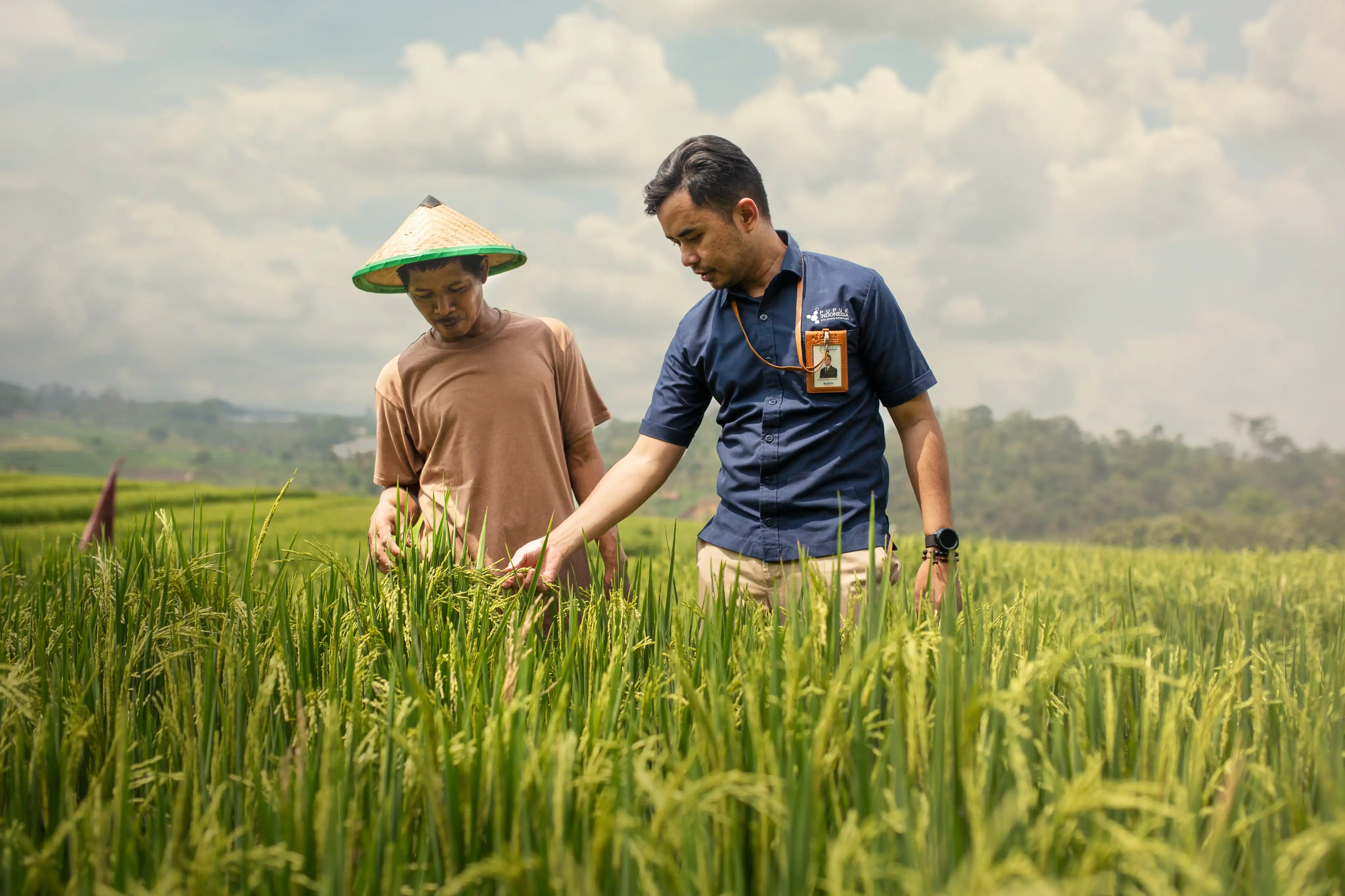 Subsidi Petani