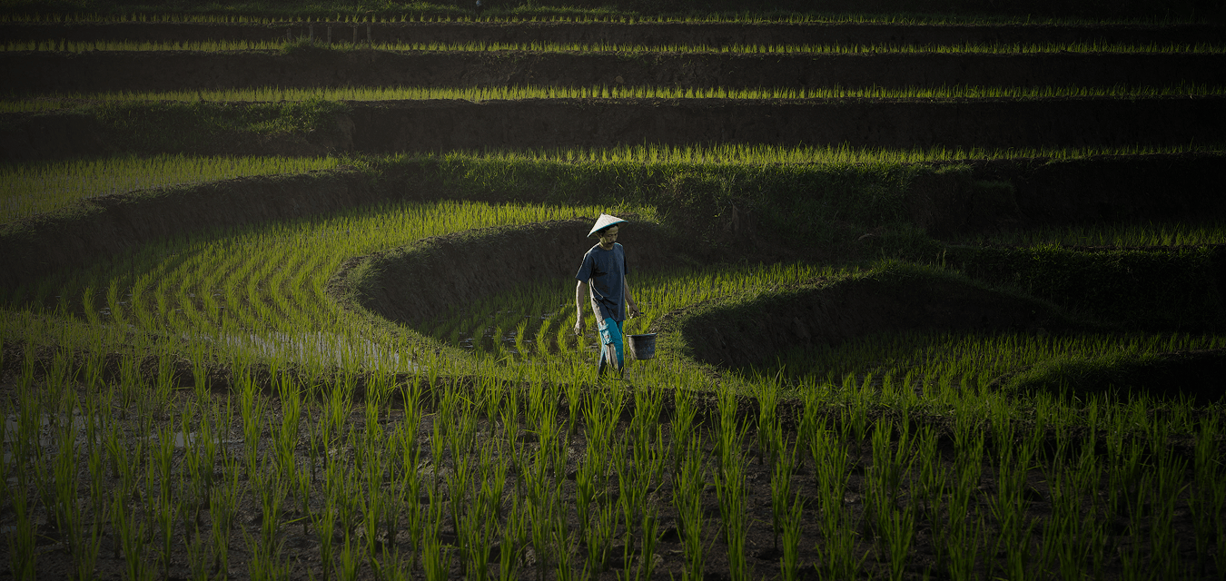Pendampingan Pertanian Berbasis Solusi